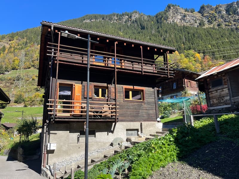 House 6.5 rooms - Lourtier - Main or secondary residence - Exclusive (1)
