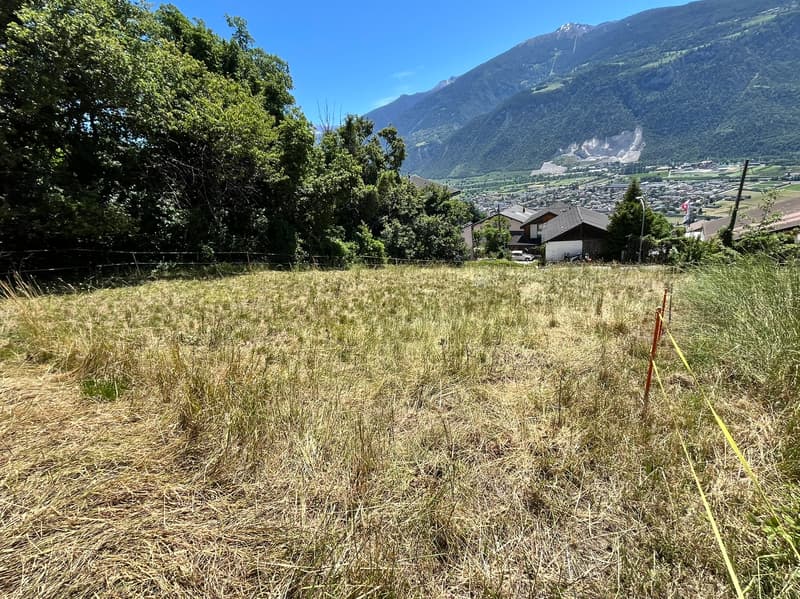 Land - 1'399 m2 - Signèse (Ayent) - ref. 10265559 - EXCLUSIVITY (2)