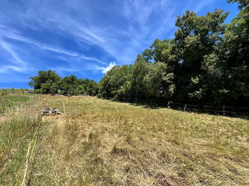Land - 1'399 m2 - Signèse (Ayent) - ref. 10265559 - EXCLUSIVITY (3)