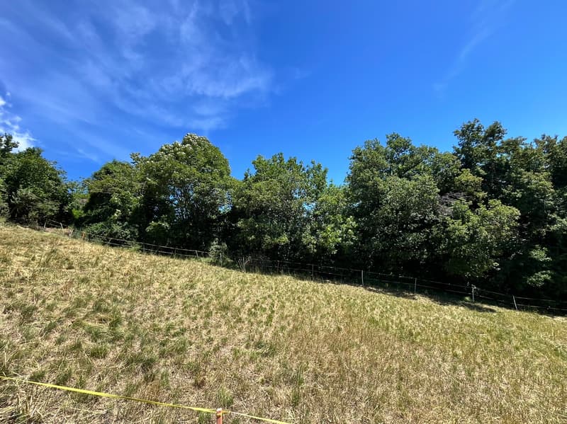 Land - 1'399 m2 - Signèse (Ayent) - ref. 10265559 - EXCLUSIVITY (4)