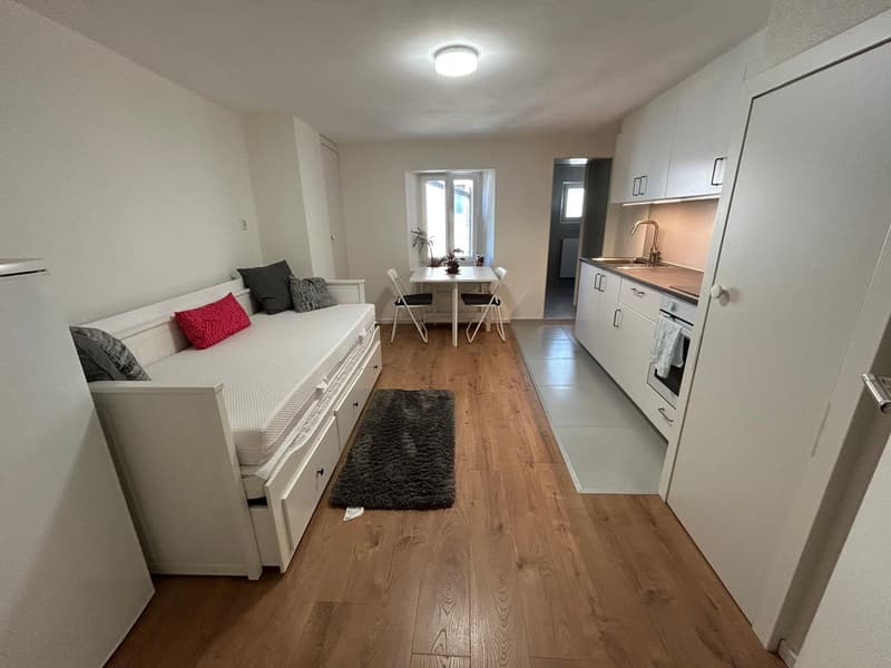 NEUF – 5.5 pces ET studio pour Airbnb ou activité indépendante (4)