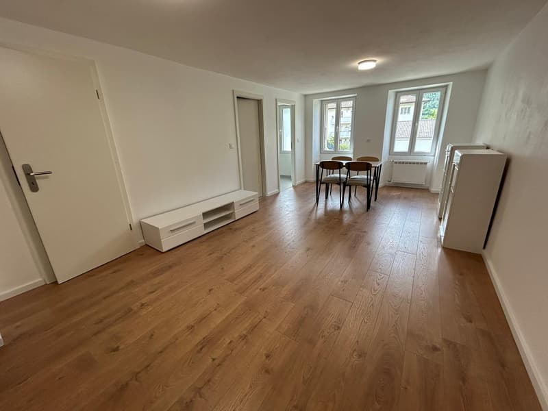 NEUF – 5.5 pces ET studio pour Airbnb ou activité indépendante (3)