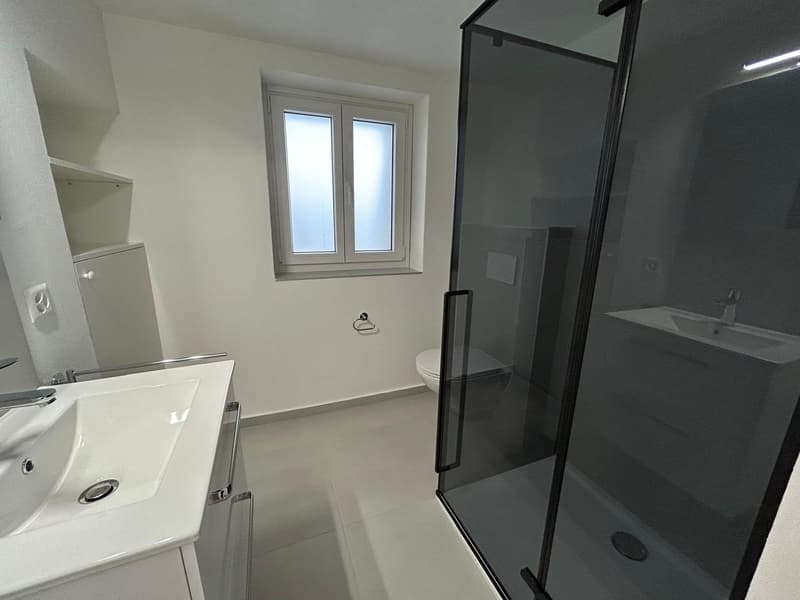 NEUF – 5.5 pces ET studio pour Airbnb ou activité indépendante (11)