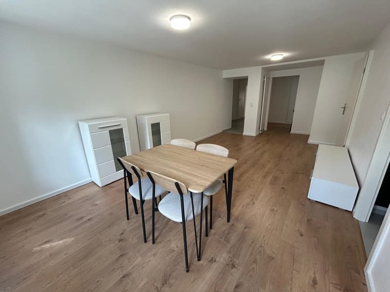NUOVO – 5,5 locali e studio per Airbnb o attività indipendente (2)