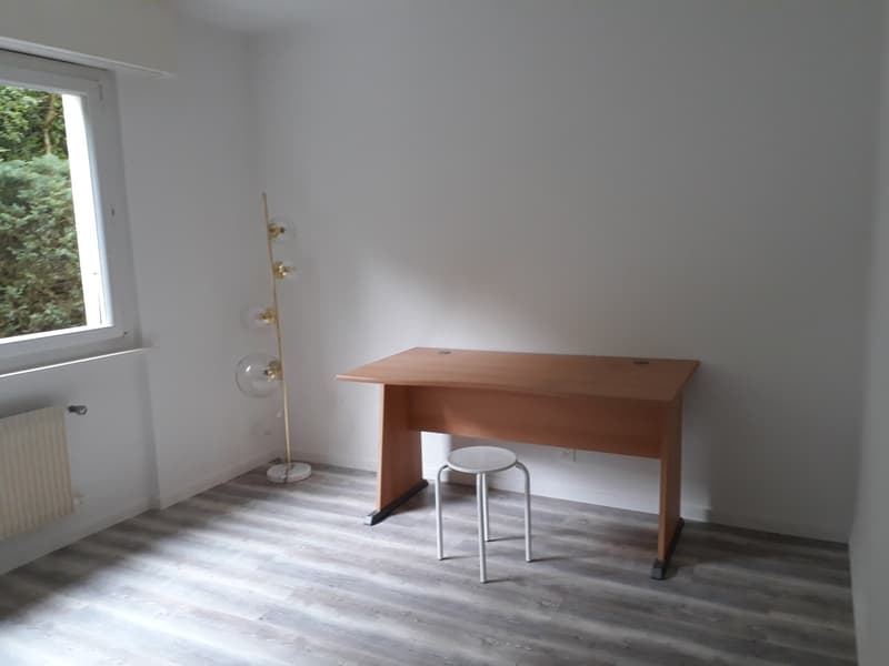 Appartement - 3.5 pces - 2021 Rénovation - Sierre - EXCLUSIVITE (6)