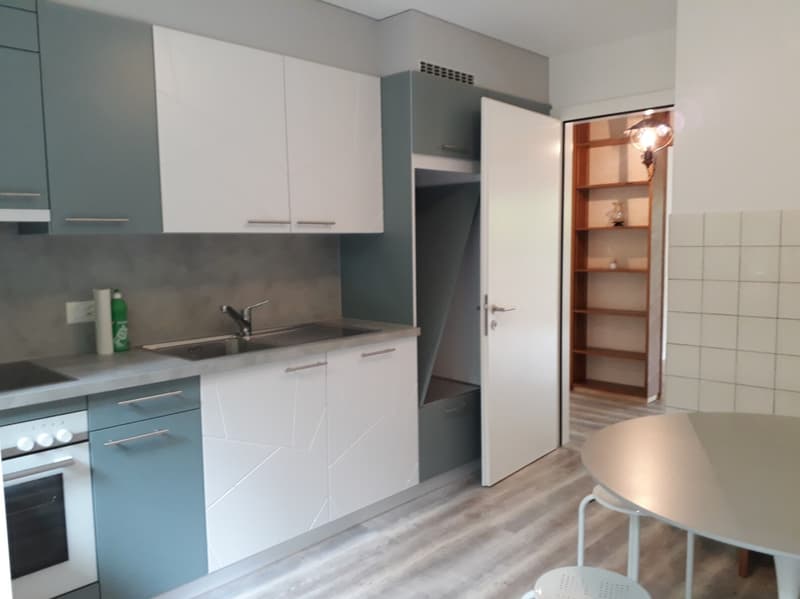 Appartement - 3.5 pces - 2021 Rénovation - Sierre - EXCLUSIVITE (1)