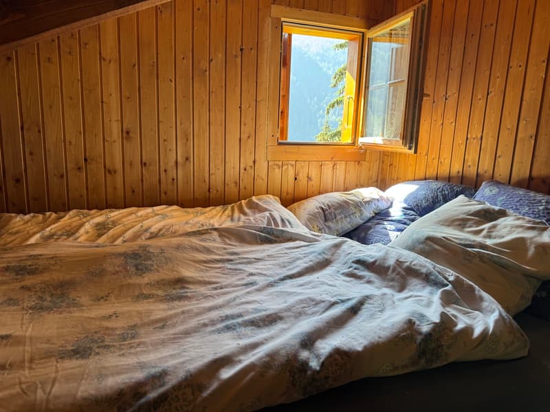 Demi-Chalet im Sommer / Artseno (Dixence) / EXKLUSIVITÄT / Ref. 10267759 (12)