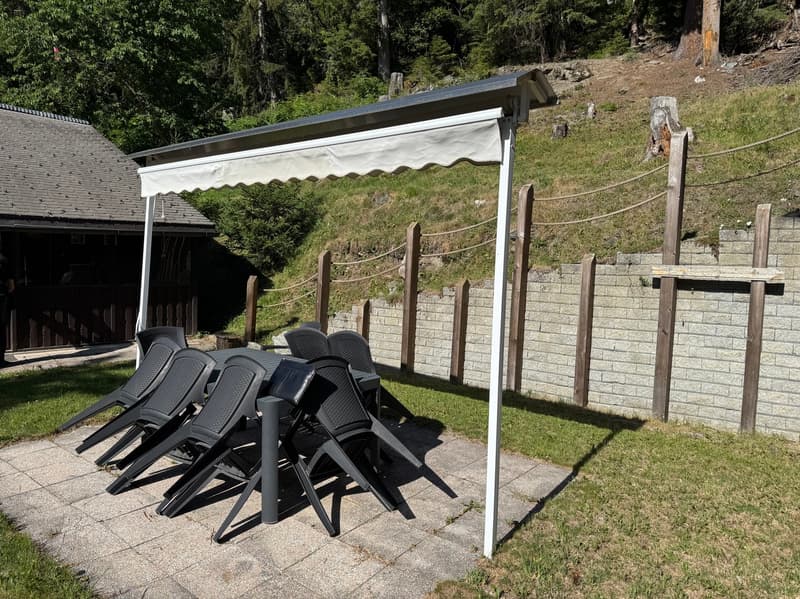 Demi-Chalet im Sommer / Artseno (Dixence) / EXKLUSIVITÄT / Ref. 10267759 (6)