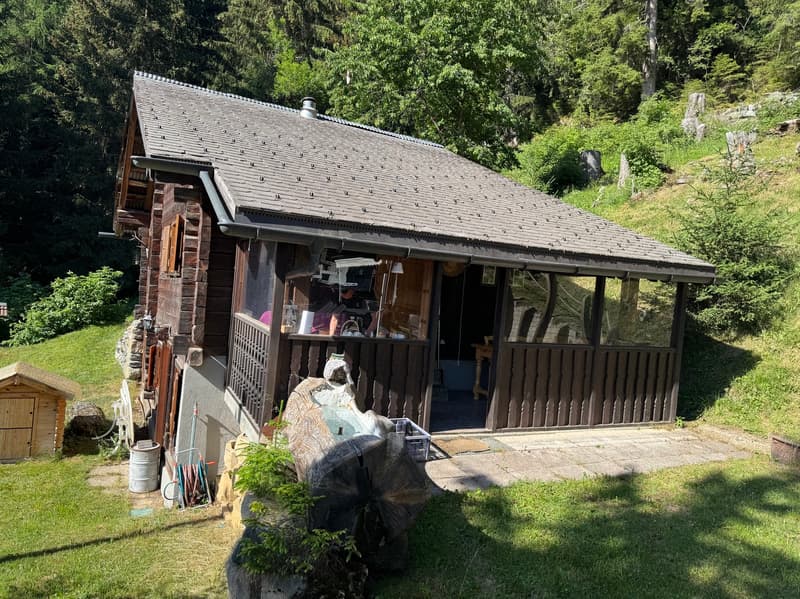 Demi-Chalet im Sommer / Artseno (Dixence) / EXKLUSIVITÄT / Ref. 10267759 (2)