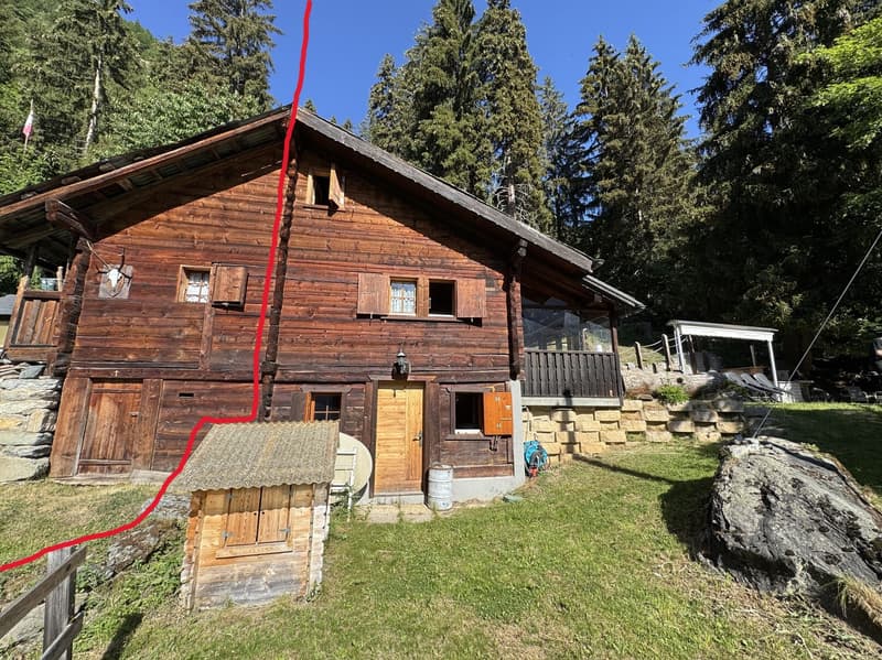 Demi-Chalet im Sommer / Artseno (Dixence) / EXKLUSIVITÄT / Ref. 10267759 (4)