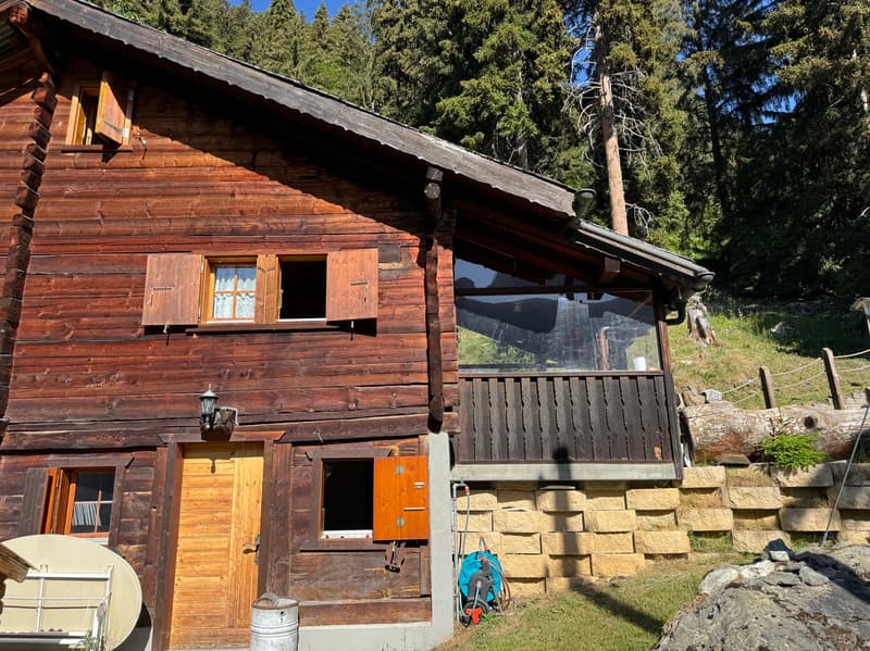 Demi-Chalet im Sommer / Artseno (Dixence) / EXKLUSIVITÄT / Ref. 10267759 (3)