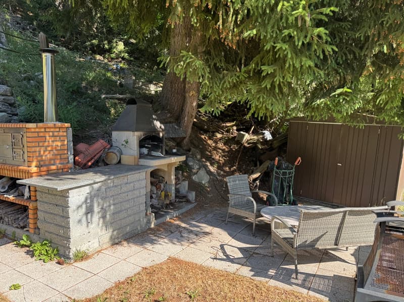 Demi-Chalet im Sommer / Artseno (Dixence) / EXKLUSIVITÄT / Ref. 10267759 (5)