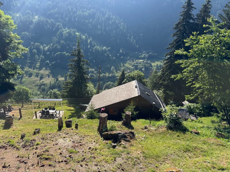Demi-Chalet im Sommer / Artseno (Dixence) / EXKLUSIVITÄT / Ref. 10267759 (13)
