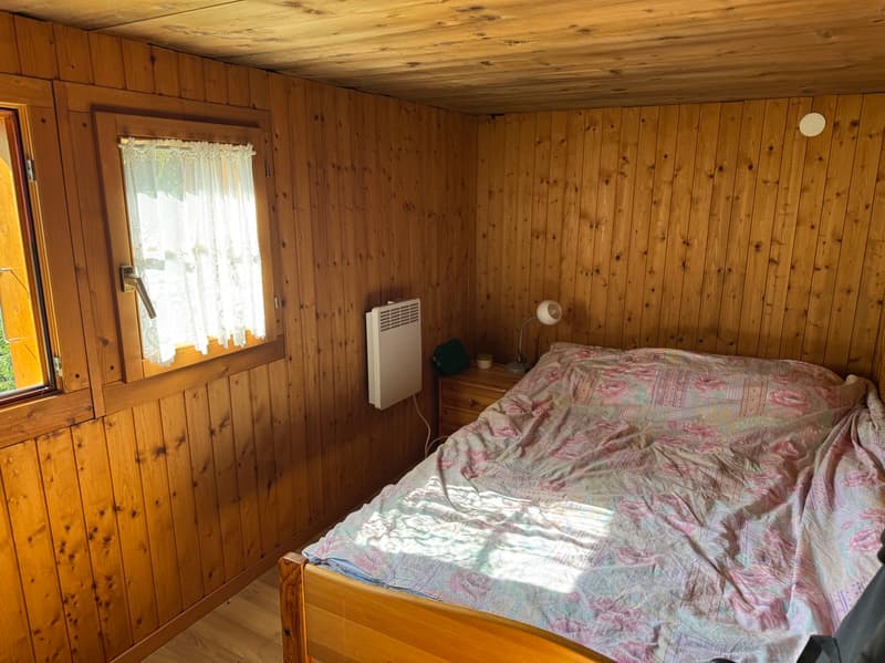Demi-Chalet im Sommer / Artseno (Dixence) / EXKLUSIVITÄT / Ref. 10267759 (10)
