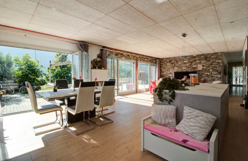 Terrazza di 130 m2 – Un solo livello – numerosi posti auto (3)
