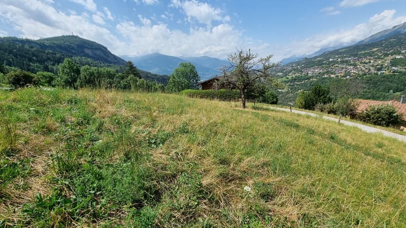 ### Land - Free of mandate - Icogne - EXCLUSIVITY - ref. 10265560 (2)