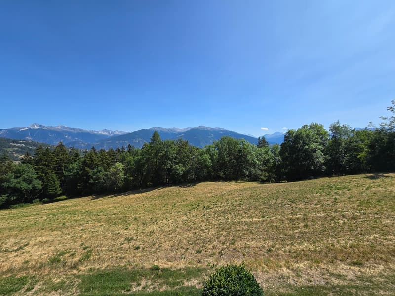 Chalet "Clô di Meitra" / Midway Ayent and Anzère / EXCLUSIVITY (5)