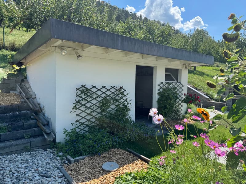 Villa / 6 pces / Sion / réf. 10262602 / EXCLUSIVITE (10)