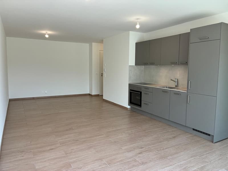 Attique – Neuf – Place de parc intérieure – Grand balcon (3)