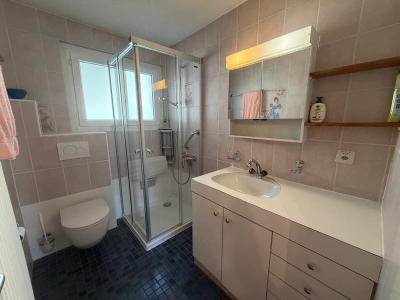 Maison – 5.5 pces – extérieurs – possibilité activité indépendante (12)