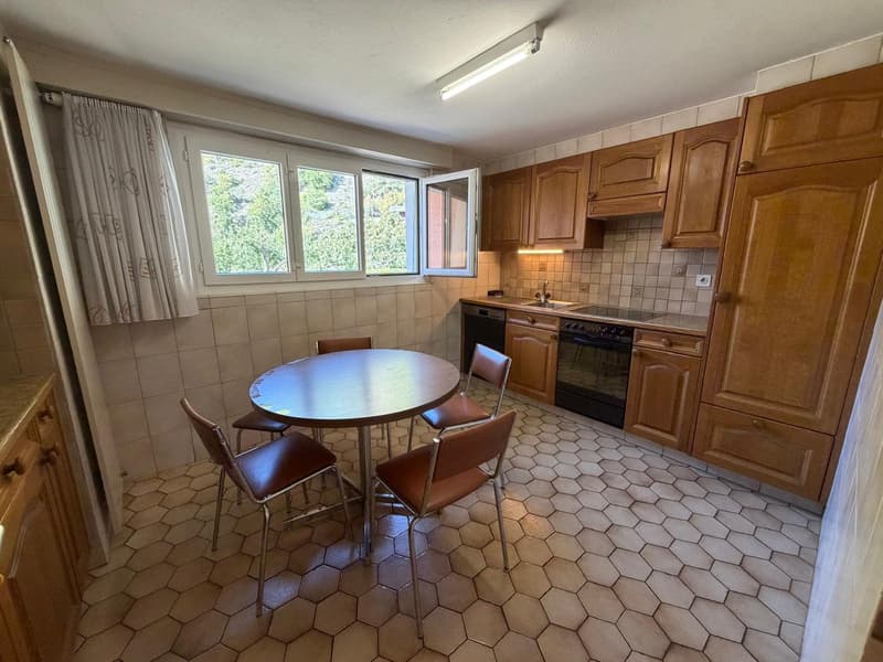Maison – 5.5 pces – extérieurs – possibilité activité indépendante (2)