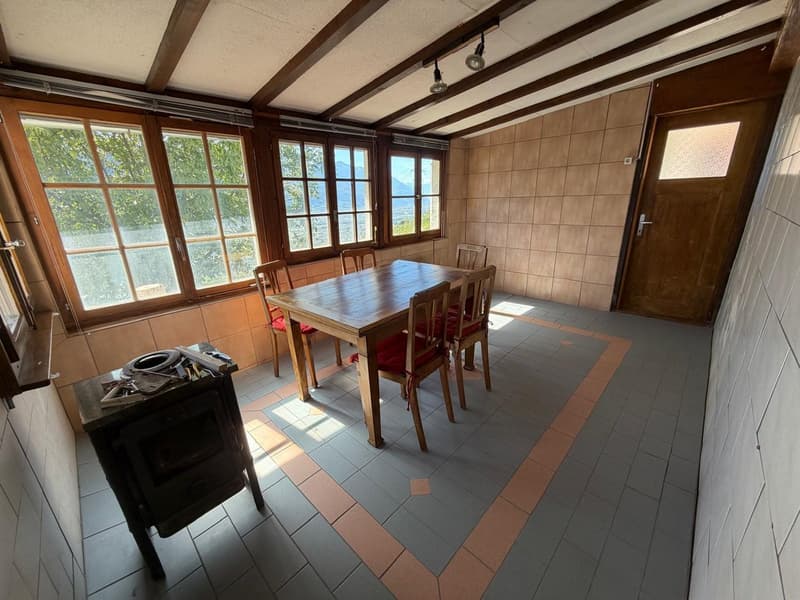 Maison – 5.5 pces – extérieurs – possibilité activité indépendante (11)