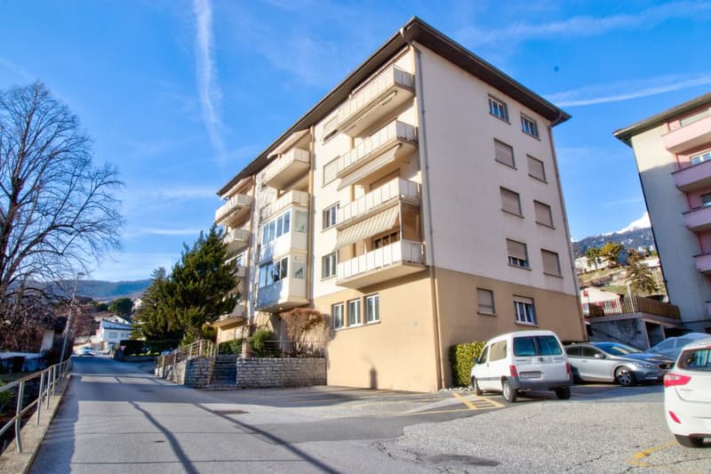 Très grand studio meublé et agencé avec place de parc privative (10)