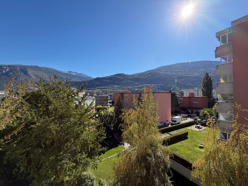 Appartement – 5ème étage – places de parc extérieures (1)