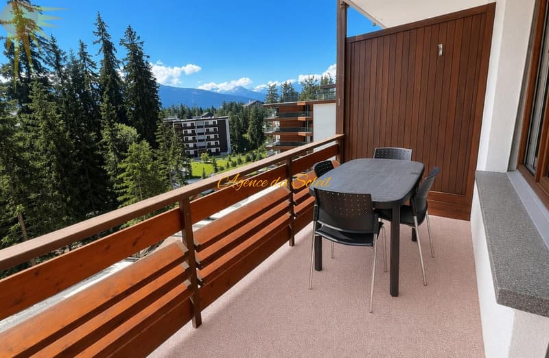 À louer (au mois) ce cosy et vaste studio au centre de Crans ! (10)