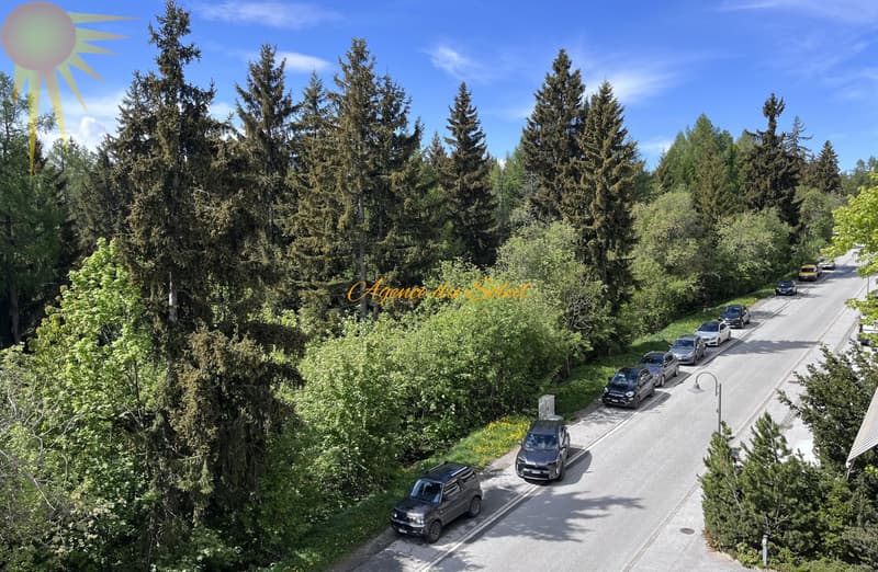 Belle opportunité d'investissement ! Appartement soigné de 3.5 pièces sud au calme à Crans ! (5)