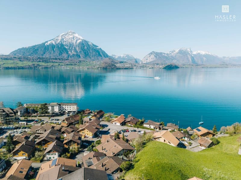 4.5-room attic apartment with lake and mountain view (1)