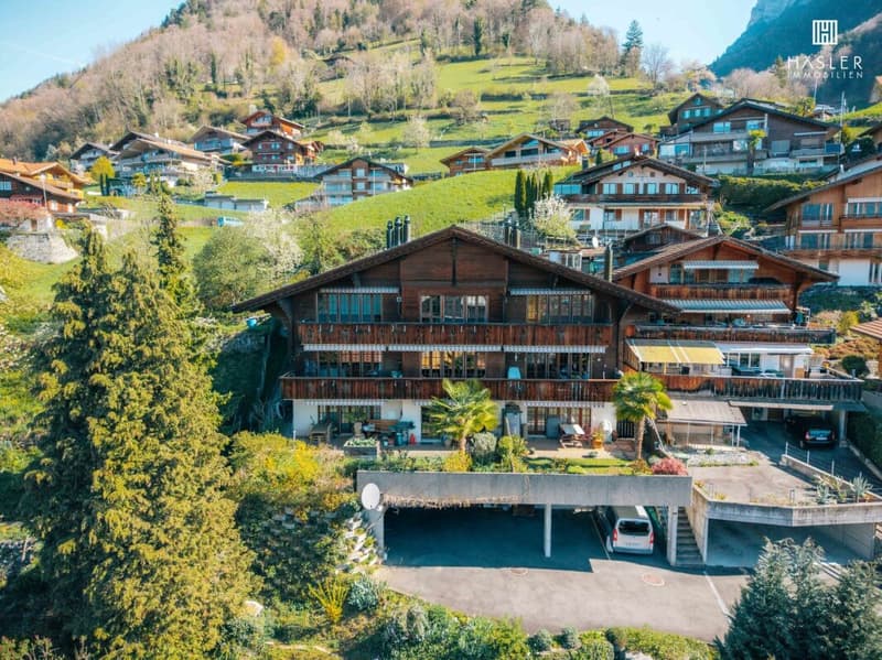 4.5-room attic apartment with lake and mountain view (2)