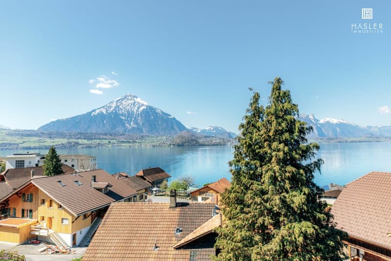 Appartement spacieux 4½-pièces en attique avec vue sur le lac et les montagnes (1)