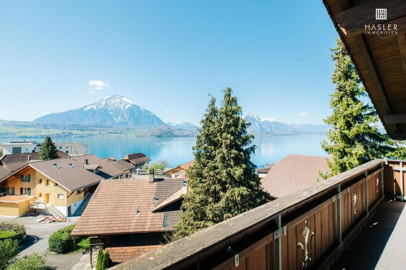Appartement spacieux 4½-pièces en attique avec vue sur le lac et les montagnes (3)