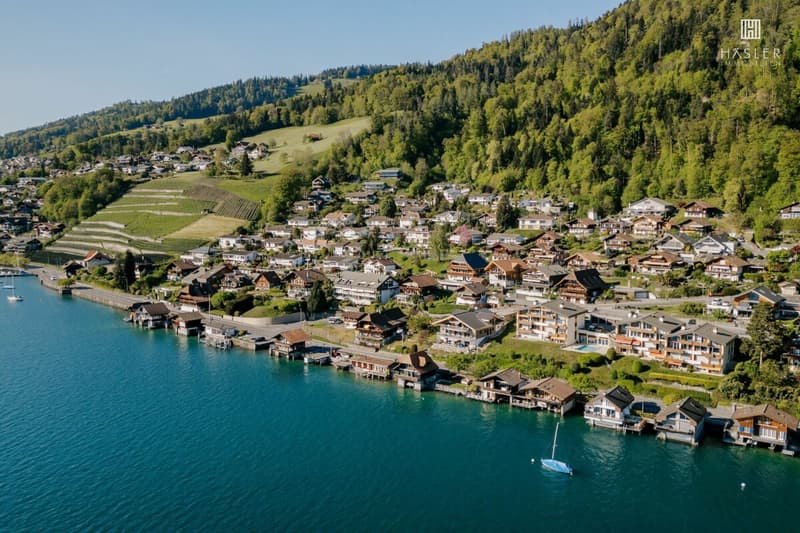2-Familienhaus mit Panoramablick auf Thunersee und Alpenkette (2)