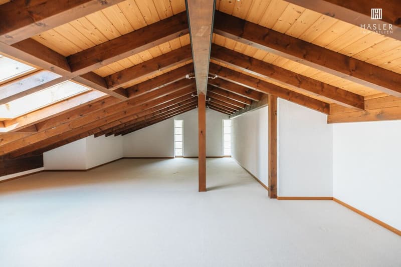Appartement spacieux 4½ pièces en mansarde avec vue sur le lac et les montagnes (11)