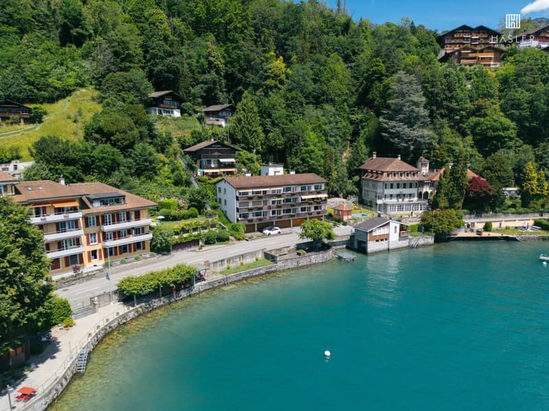 Appartamento vacanze di 3½ locali sulla riva del lago di Thun con area balneare (1)