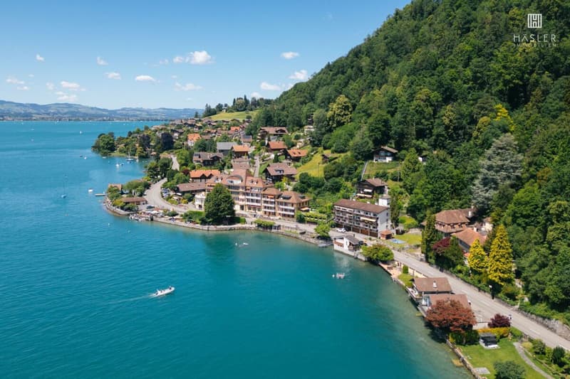 Appartamento vacanze di 3½ locali sulla riva del lago di Thun con area balneare (2)