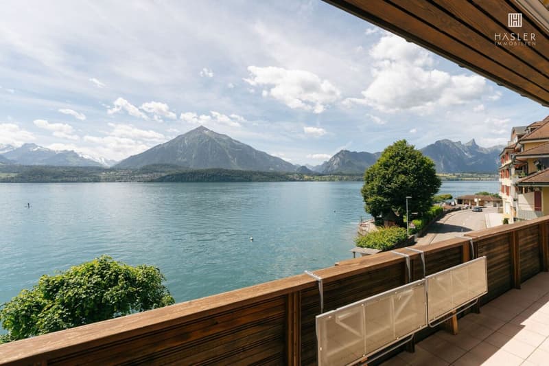 Appartamento vacanze di 3½ locali sulla riva del lago di Thun con area balneare (4)