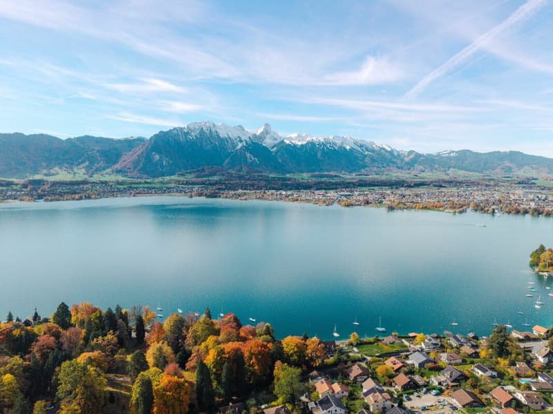Seltene Gelegenheit - 2½-Zimmer-Ferienwohnung in Hilterfingen am Thunersee (2)