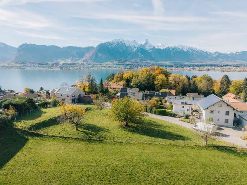 Seltene Gelegenheit - 2½-Zimmer-Ferienwohnung in Hilterfingen am Thunersee (1)