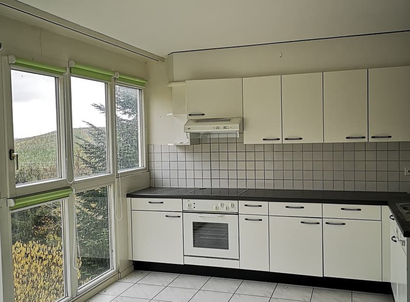 SPECIAL INVESTISSEUR ! Appartement de 4.5 pces avec balcon (4)