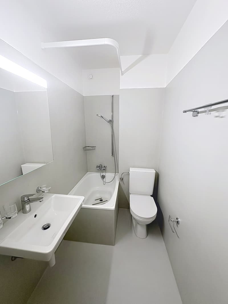 Delizioso appartamento di 2,5 locali, recentemente ristrutturato (5)