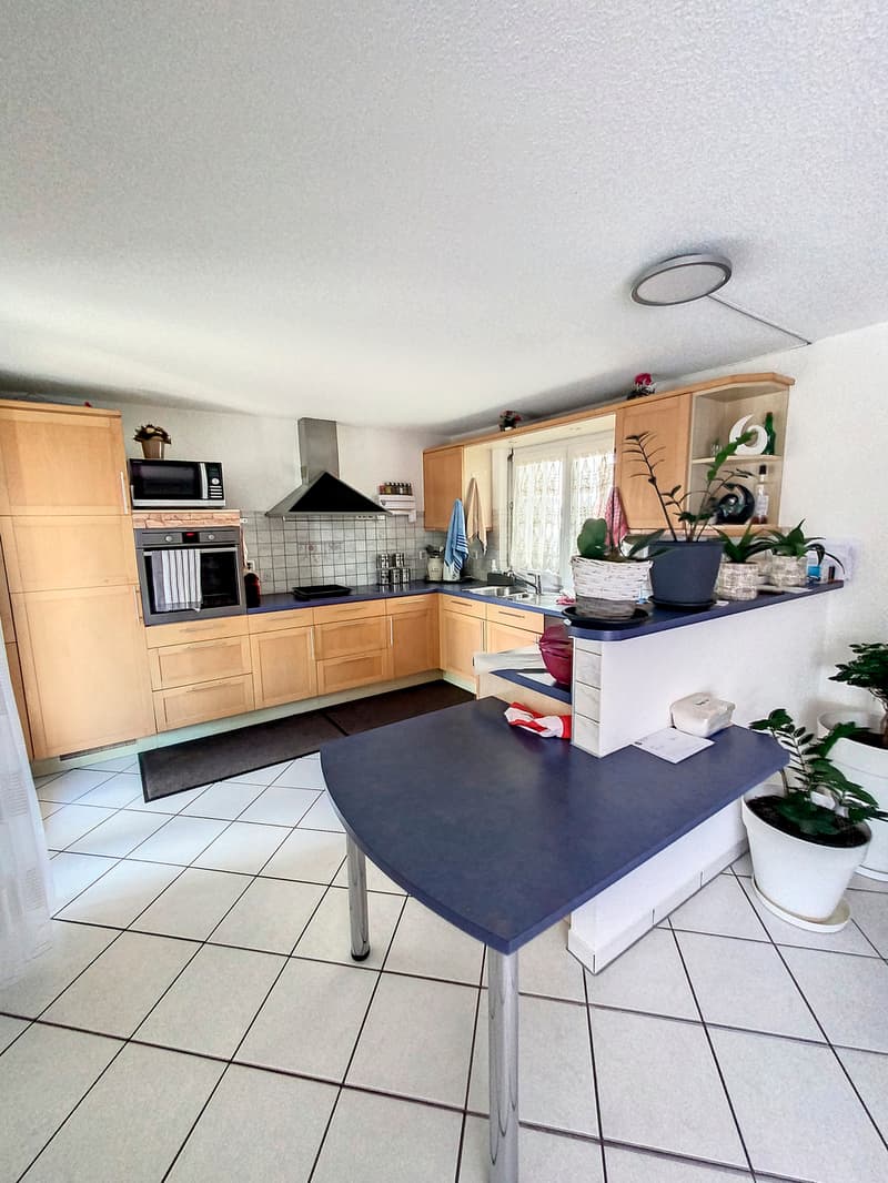 Appartement rez inférieur