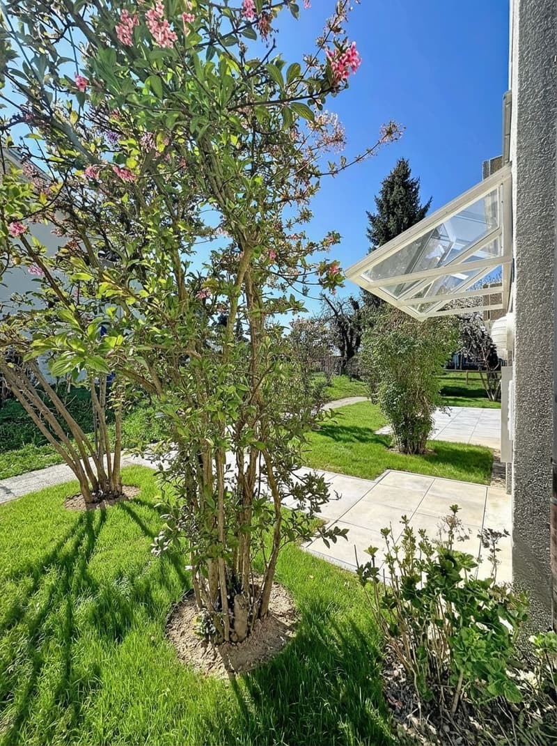 Très bel appartement rénové de 3.5 pces avec balcon (3)