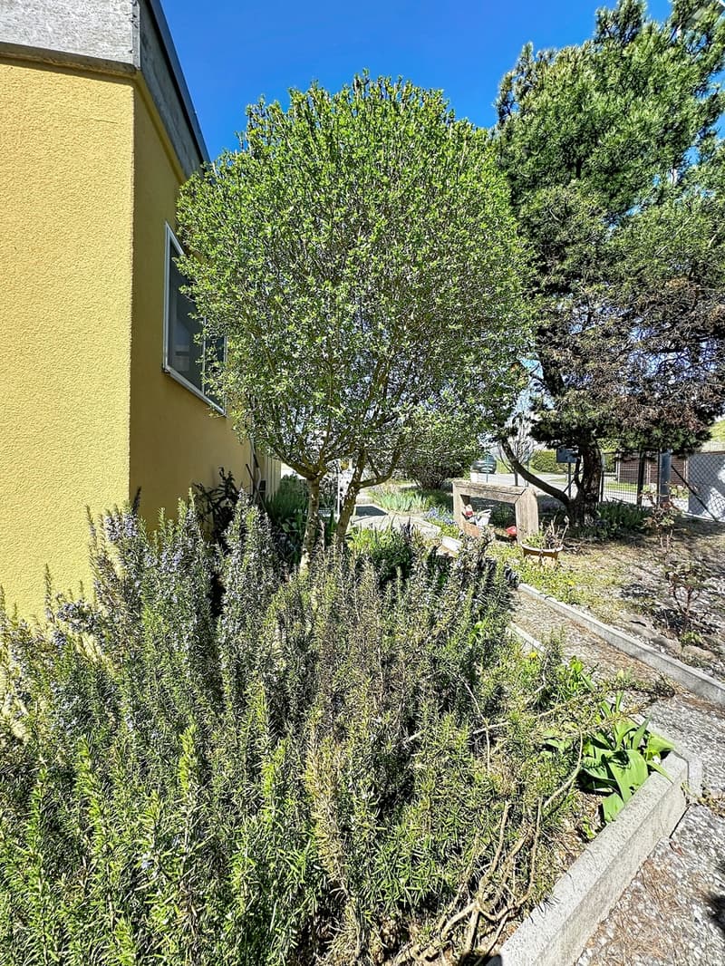 Villa jumelée de 5.5 pces Récemment rénovée A 2 pas de tout ! (3)