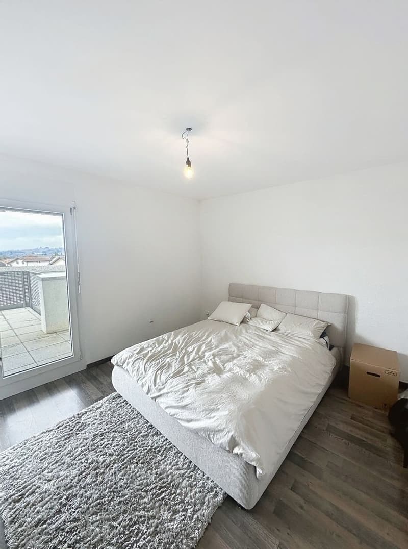 Attic with large balcony (4)