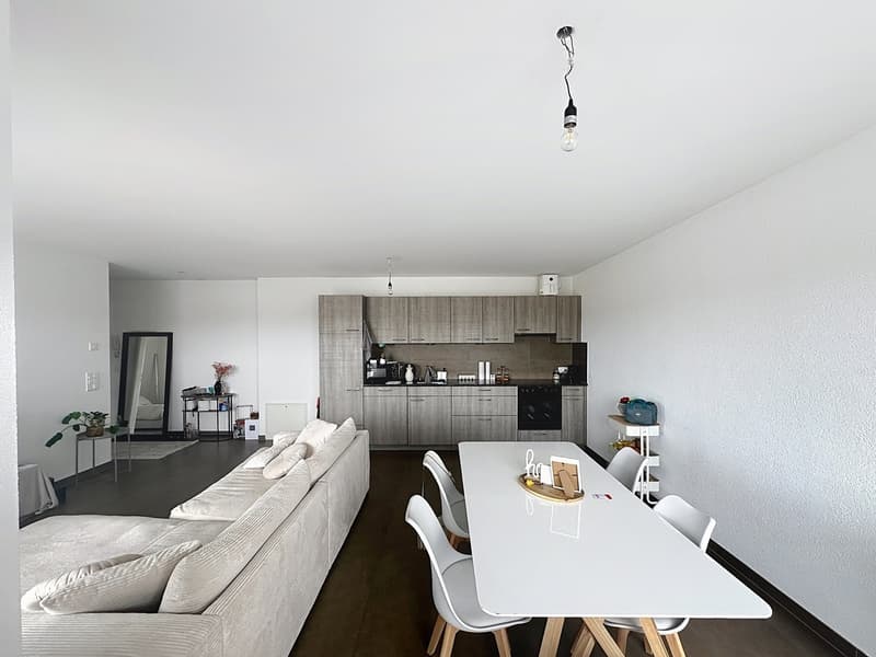 Attic with large balcony (3)