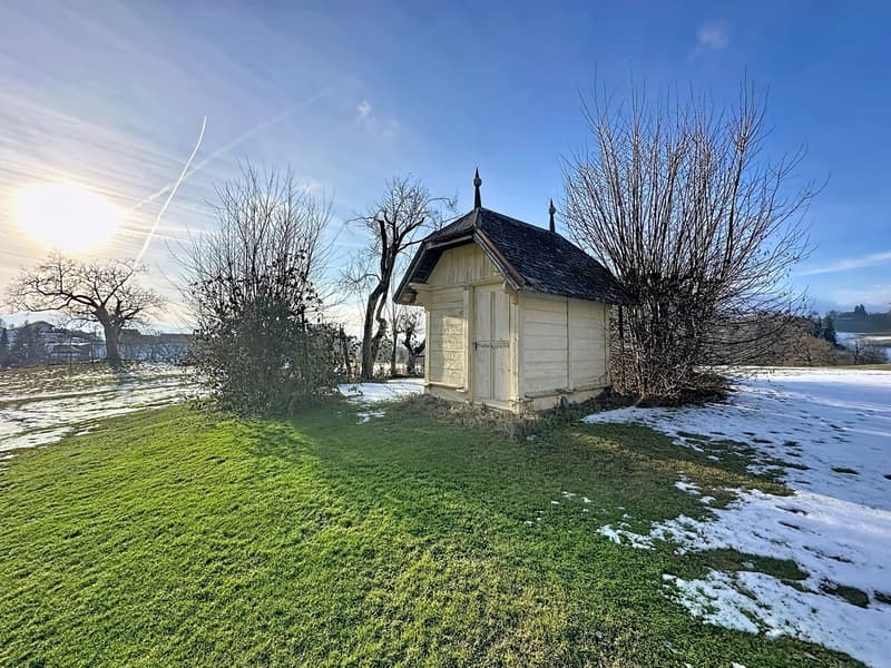 For sale: Magnifique propriété  La Roche (7)