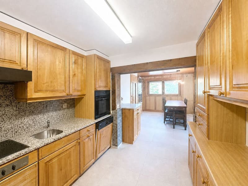 Family house with two apartments (3)